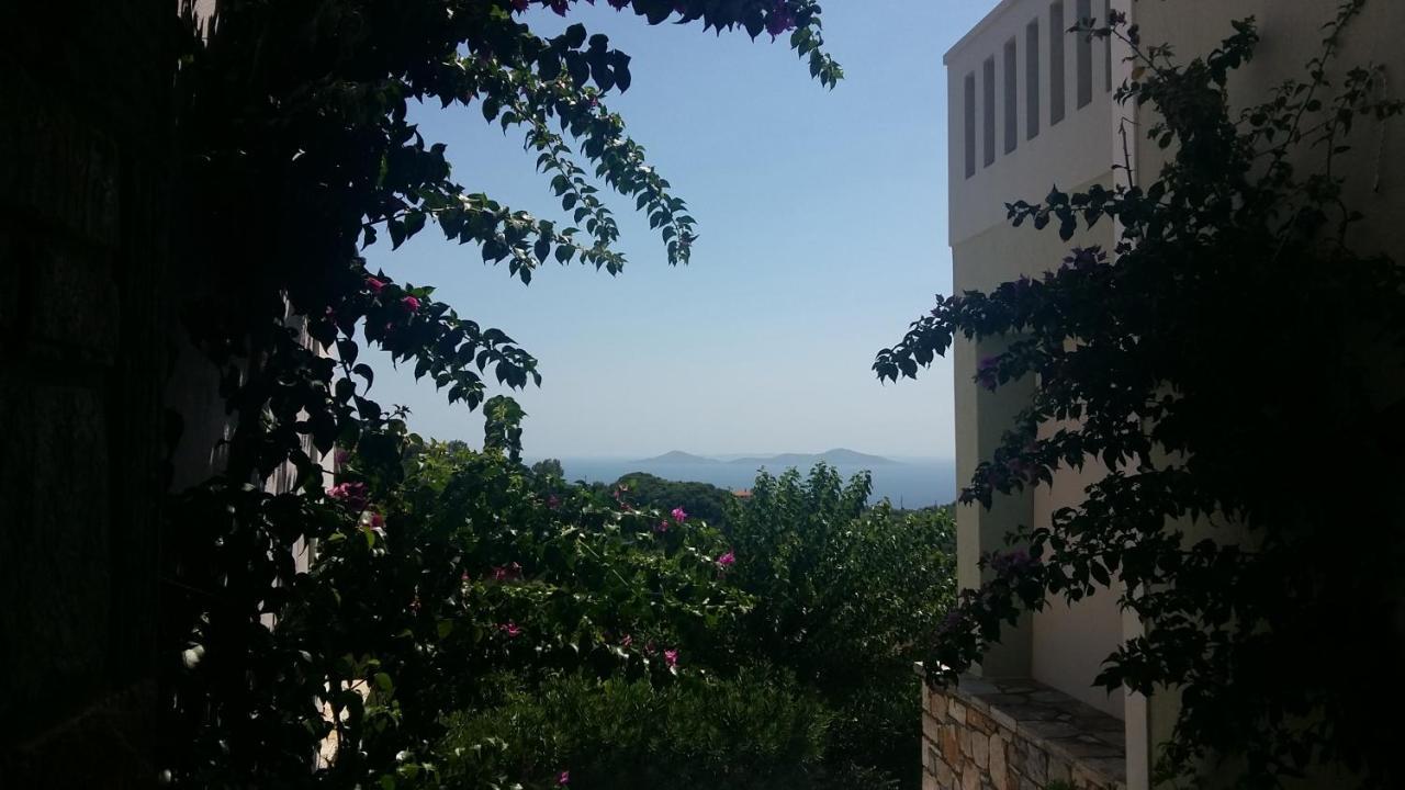 Old Village Alonnisos Town Luaran gambar